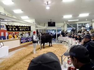 2019年10月24日(木)　第101回　兵庫県畜産共進会 （但馬家畜市場） せりのようす