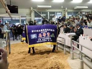 2019年10月24日(木)　第101回　兵庫県畜産共進会 （但馬家畜市場） 肉牛の部 名誉賞のせり